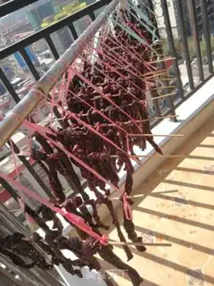 Make Homemade natural beef jerky step 13