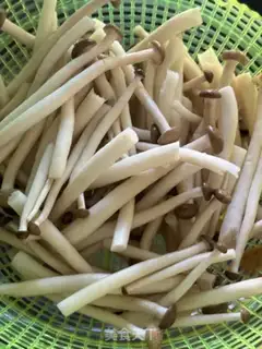 Make Chicken vegetable pot step 5