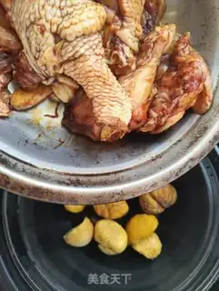 Make Chestnut pheasant step 5