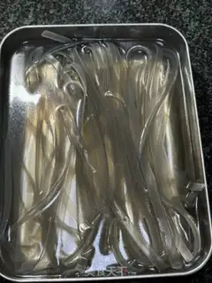 Make The lead step 0