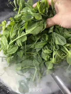 Make Take the pea seed step 7