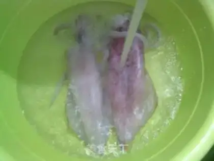 Make Squid step 1