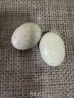 Make Pepper fried eggs step 0