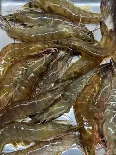 Make Shrimp congee step 2
