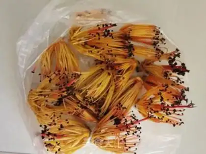 Make Wood cotton sauce step 0