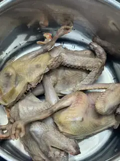 Make The veggie pigeon step 0