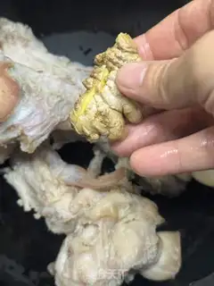 Make The maggot step 1
