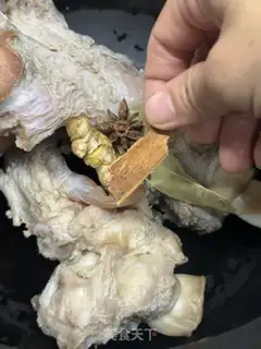 Make The maggot step 2