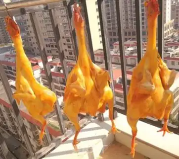 Make A chicken with a yellow wind step 9