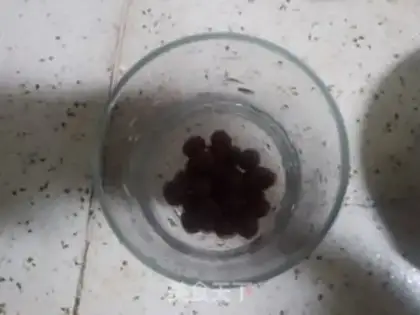 Make Pearl milk tea step 6