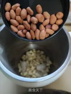 Make Lily soy step 3