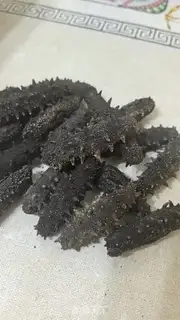 Make Sea cucumber step 0