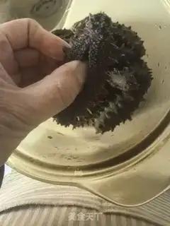 Make Sea cucumber step 4
