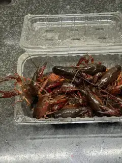 Make Cold crawfish step 1
