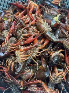 Make Cold crawfish step 2