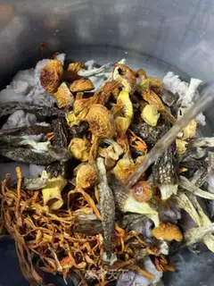 Make Porktail soup step 5