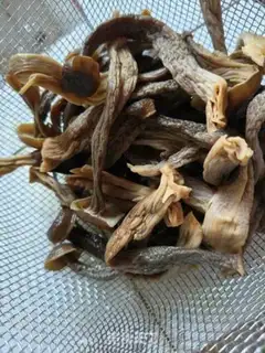 Make Dry-pot deer mushrooms step 1