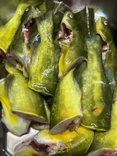 Make A scabfish step 1