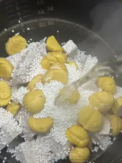 Make Milky fragrance. Chestnut step 4