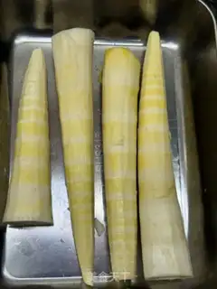 Make Spring duck step 2