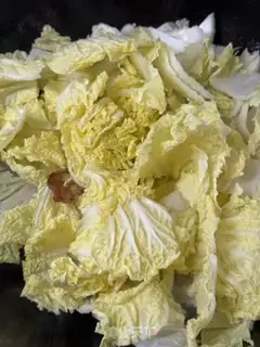 Make Cabbage curds step 5