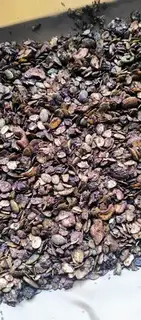 Make Coco oats step 4