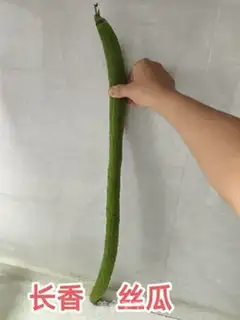 Make Garlic is a fragrance step 0