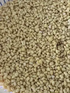 Make Green bean ice cream step 0
