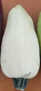 Make Garlic white pumpkin step 0