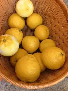 Make Artificial grapefruit salt step 1