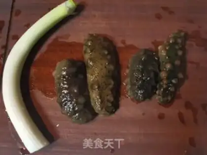 Make Fire the sea cucumber step 0