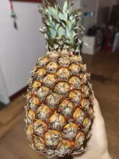 Make Pineapple juice step 0