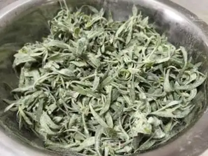 Make Steam noodles step 12