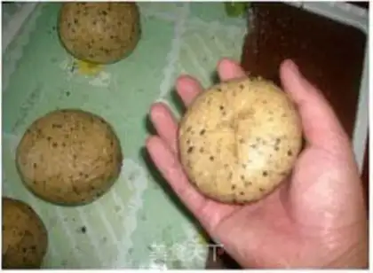 Make step 10