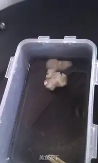Make step 0