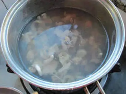 Make  step 4