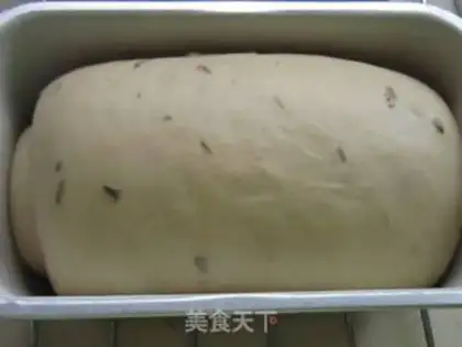 Make  step 6