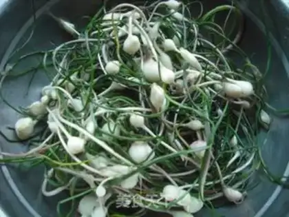 Make step 0
