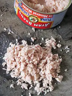 Make step 5