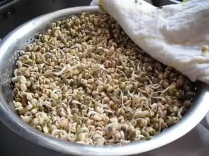 Make step 11