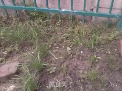Make  step 0